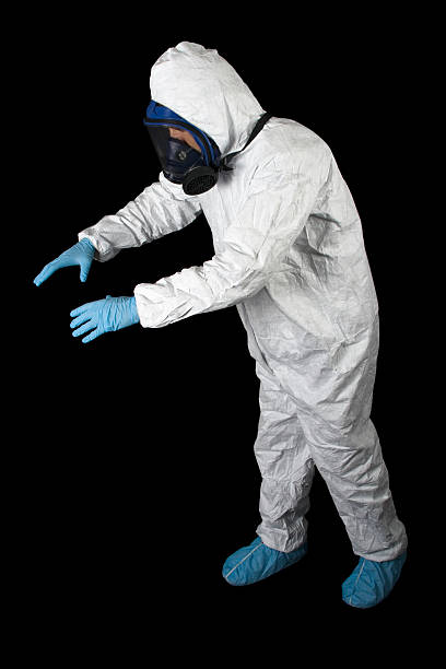 Best Mold Damage Restoration  in Tama, IA