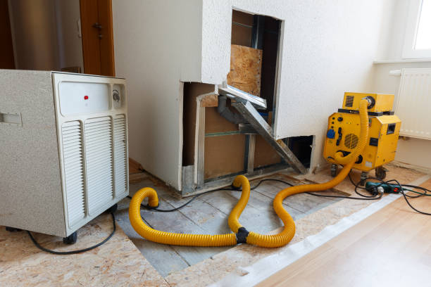 Best Emergency Mold Remediation  in Tama, IA