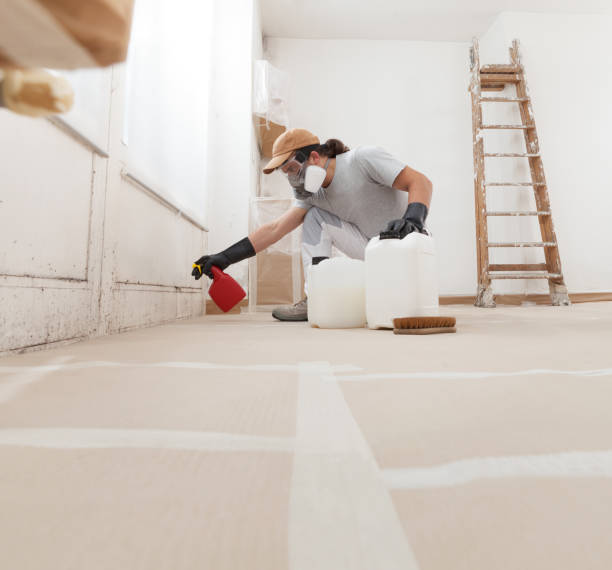 Best Crawl Space Mold Remediation  in Tama, IA